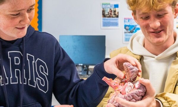 Psychology (Applied)